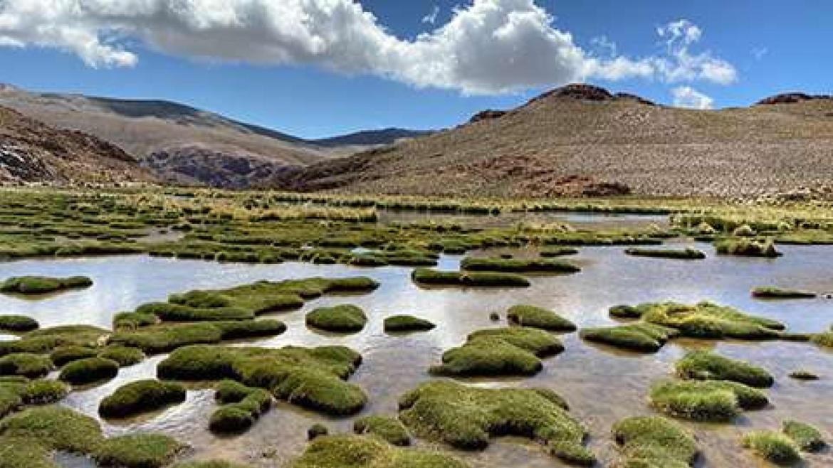 BMW op weg naar een duurzame toekomst.
